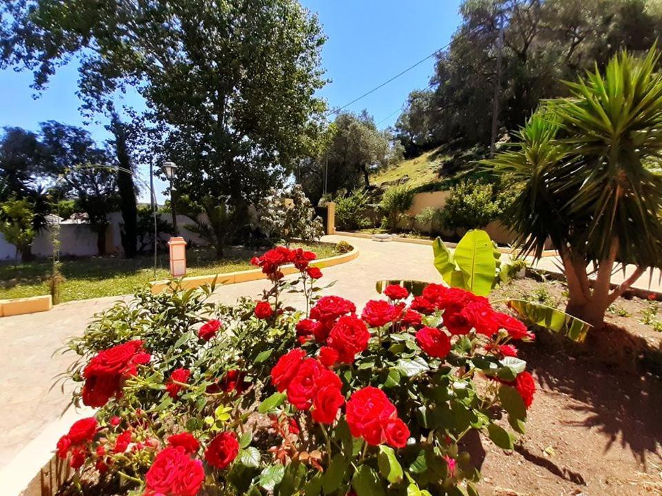 Villa Silvia Agios Matthaios  Exterior photo